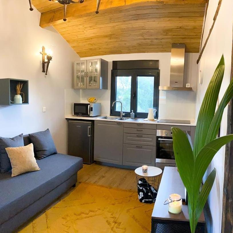 코자 Casa Do Curral Do Chapeu 빌라 외부 사진