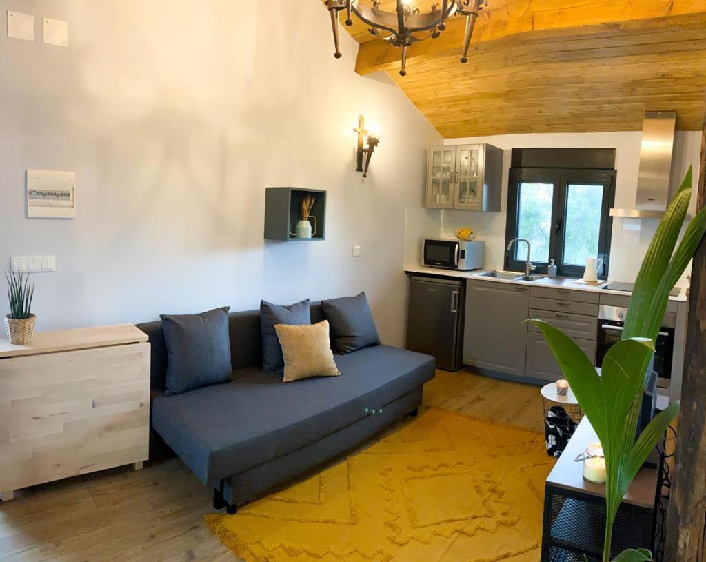 코자 Casa Do Curral Do Chapeu 빌라 외부 사진